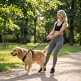 thumbnail image 7 of No Pull Dog Harness with Durable Chest Strap for Small Medium Dogs, Adjustable Reflective Pet Vest Traction Rope for Walking, Running, Training, Anti-Tugging Escape Proof (1 Harness + 1 Leash), 7 of 7