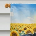 thumbnail image 7 of Border Collie in Sunflowers House Flag 28 in x 40 in, 7 of 7