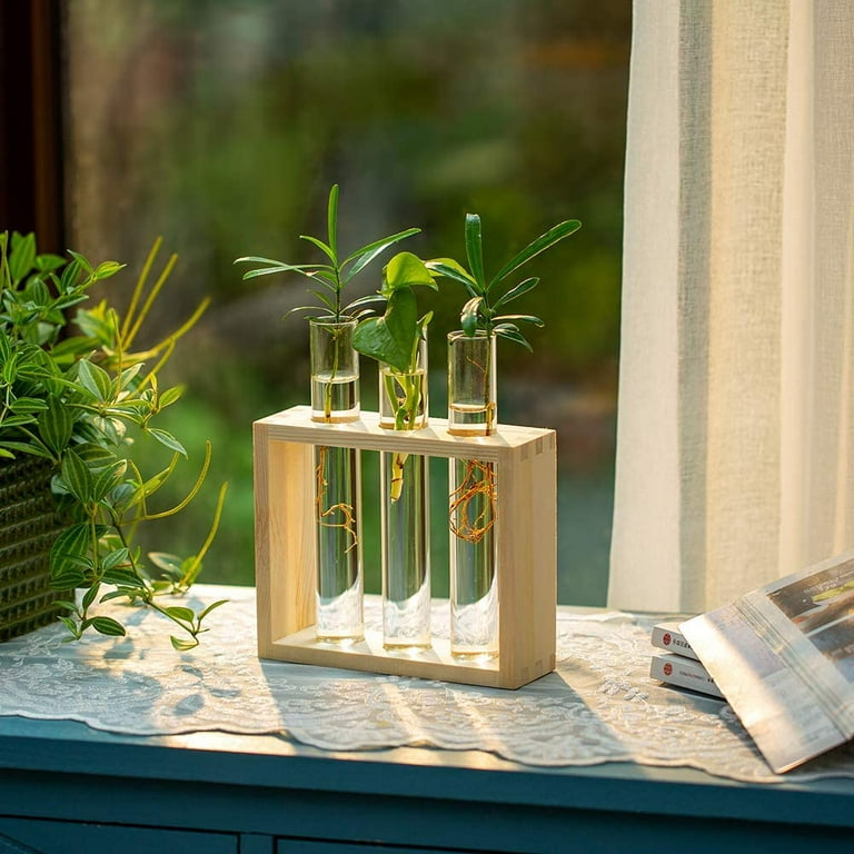 PACDONA Wall Hanging Glass Test Tube Planter Propagation Station Glass Vase  Rack with Wood Stand, Plant Terrarium Holder for Hydroponics Succulent Air