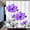 Purple, variant on Unique Floral Purple Shower Curtain for Bathroom Decor, Purple and Gray Daisy Flower Elegant Wildflower Design Farmhouse Shower Curtains with Hooks Set, 71x71 Inches