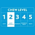 thumbnail image 6 of Vibrant Life Neon Fetch and Play Buddy Dog Toy, Chew Level 2, 9", 6 of 8