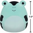 thumbnail image 4 of Squishmallows: Dear the Poison Dart Frog, 4 of 4