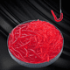 thumbnail image 2 of Lombriz de tierra roja más cebo falso de pez simulación Luya Soft Bait cebo luminoso lombriz de tierra pequeña, 2 of 6