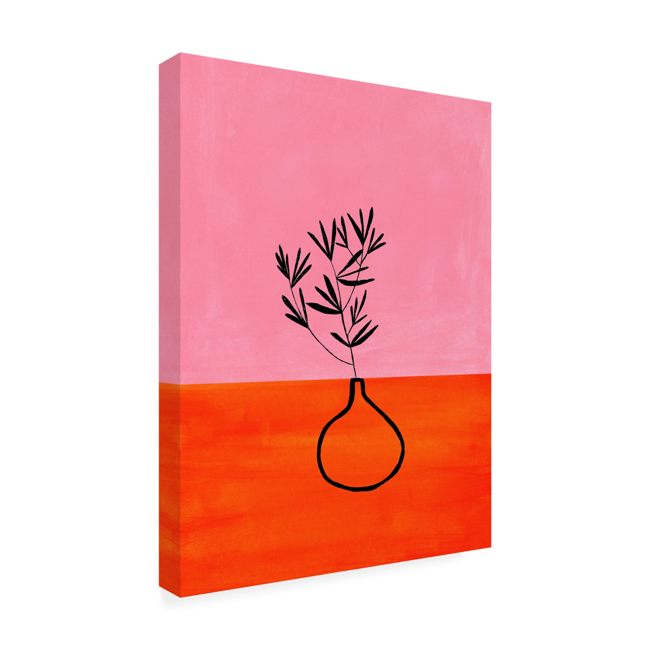 Trademark Fine Art Ejaaz Haniff  Pink Mango Vase Canvas Wall Art