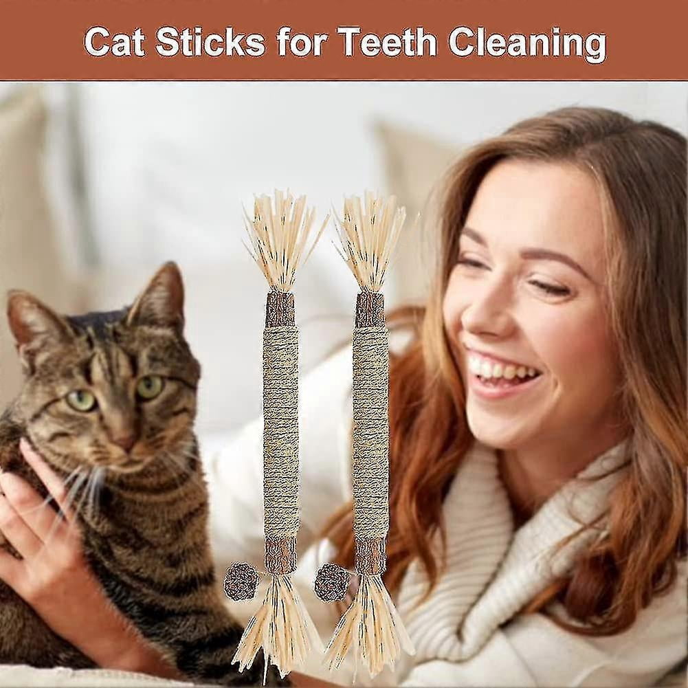 2-Piece Catnip Chewing Sticks for Cats, Natural Cat Grass Tooth Cleaning Toys