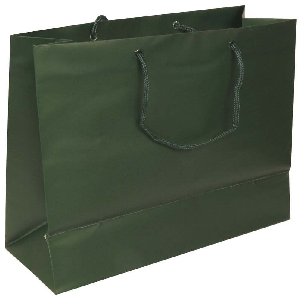 JAM Paper Matte Gift Bag, 13 x 10 x 5, Hunter Green, 1/Pack, Large Horizontal