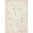 thumbnail image 3 of William Simpson 11x14 Black Modern Framed Museum Art Print Titled - Monkeys and a Goat, Lahore (1860), 3 of 5