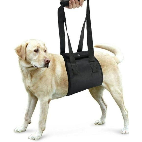 Xlchien De Levage Soutien Harnais Aide Canine Rehabilitation Harnais Pour Chiens Avec Pattes Faibles