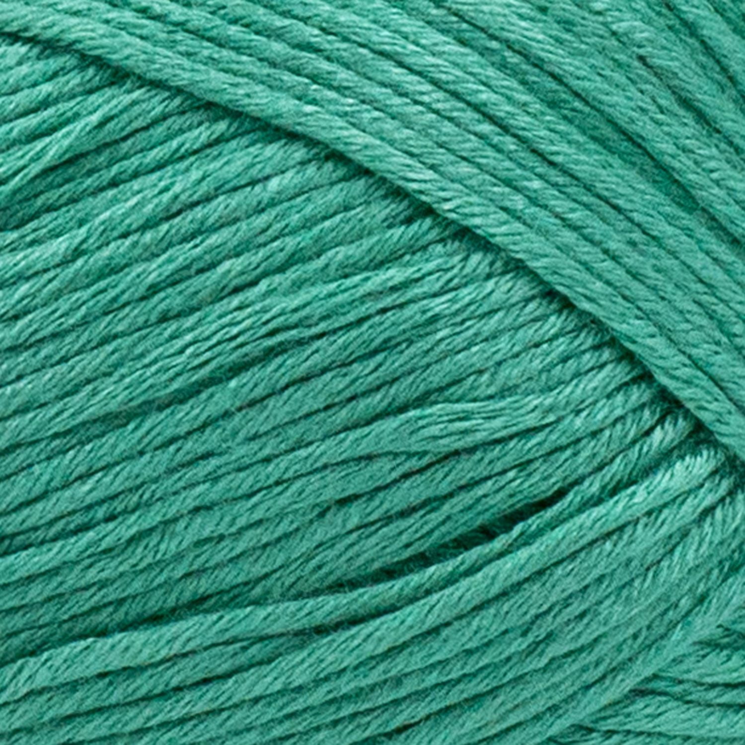 Fil Lion Brand Truboo Fil de Bambou #3 Léger/DK, 100g/ 220m