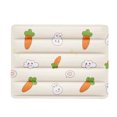 thumbnail image 1 of Dinosaur Watermelon Mat 30x40cm Soft Ice Pad For Small Cats Portable Cool Bed, 1 of 3