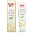 Burt's Bees Toothpaste, Fluoride Free, Purely White, Zen Peppermint, 4.