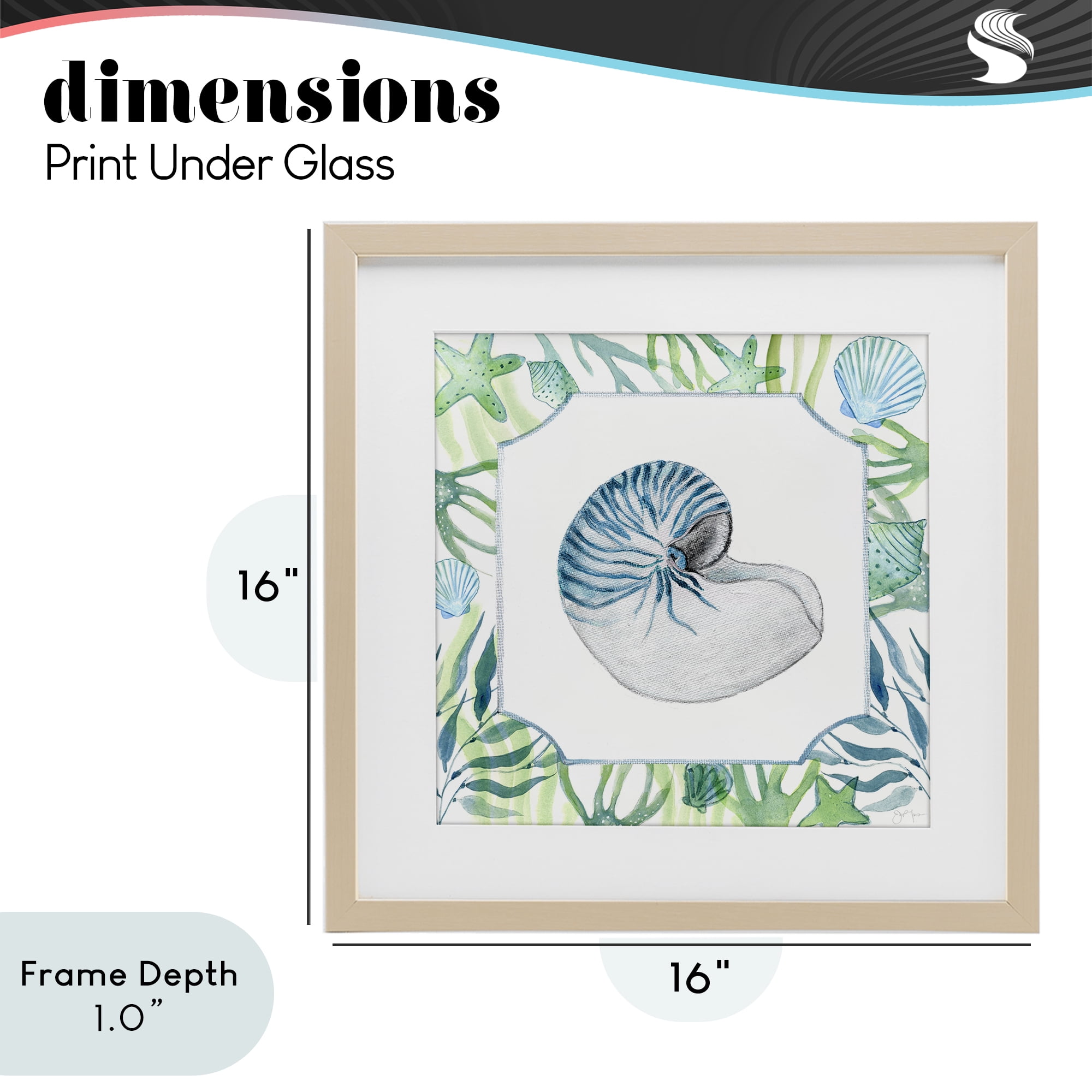 Stupell Industries Seaweed & Seashells Aquatic Birch Framed Print Under Glass, design by Janet Tava