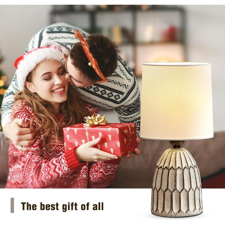 NATYSWAN 13.5" Boho Ceramic Table Lamps Set of 2 photo 2
