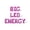 Pink, variant on Letter Balloons - BIG LEO ENERGY 16" Inch Alphabet Letters Foil Mylar Balloon Birthday Party Banner (Pink)