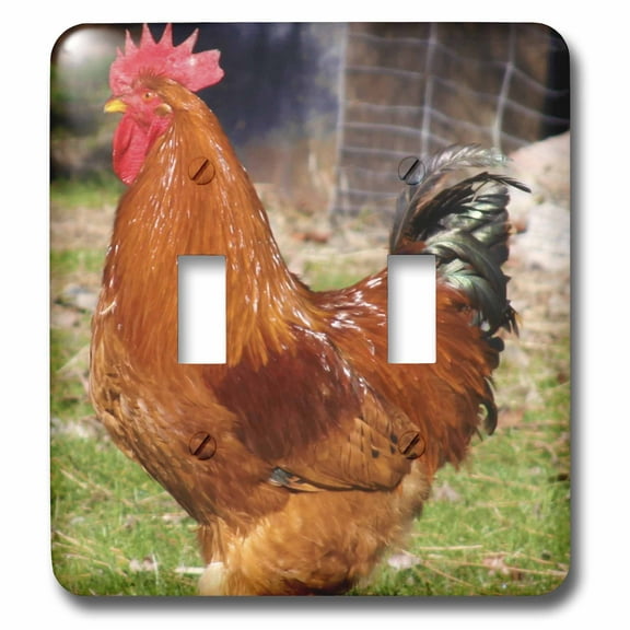 3dRose, Beautiful Red Rooster on the Farm- Animal Photography, double toggle switch