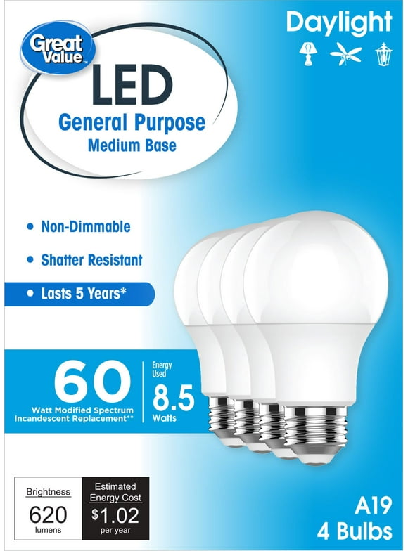 LED Light Bulbs