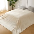 thumbnail image 2 of Manta de forro polar extragrande COOVA, 305 x 351 cm, color beige, 2 of 6