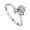 Leo-Silver, variant on Women's Stainless Steel Round Cubic Zirconia Simple 12 Constellations Adjustable Wrap Open Ring Silver Virgo