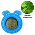 thumbnail image 2 of 3Pcs Catnip Ball Organic Cat Ball Catnip Toy Interactive Cat Toy Blue, 2 of 5