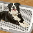 thumbnail image 4 of Large Dog Pet Urination Tray With Vertical For Male Dogs Home Friendly Design Training Toilet, 4 of 17