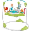 Fisher-Price Baby Bouncer Fitness Fun Folding Jumperoo Infant Activity Center with Lights & Music, Unisex