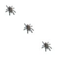 thumbnail image 4 of sweethay 3D araña lagarto escorpión 3D pegatina parachoques cuerpo PVC adhesivo ventana espejo adhesivo Decoración Type7 NO7 sweethay CBP144655, 4 of 6