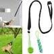 thumbnail image 4 of Pelota de juguete para perros con cuerda, pelotas interactivas con fugas para perros pequeños y grandes, juguetes para masticar resistentes a las mordeduras, accesorios para adiestramiento de cachorro, 4 of 5