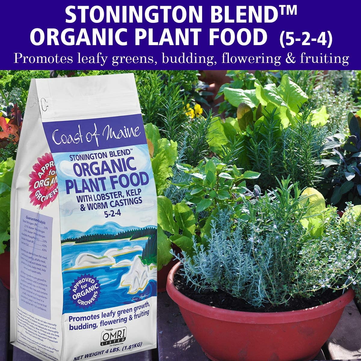 Coast of Maine Organic Stonington Blend Plant Food, 4 Pound Bag (2 Pack)
