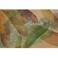 thumbnail image 2 of Paulson, Don 18x13 White Modern Wood Framed Museum Art Print Titled - Montage abstract of dragonfly wings and flower, 2 of 4
