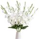 thumbnail image 1 of Flores artificiales de gladiolo blanco, flores de gladiolo de seda con tallos, para boda, hogar, fiesta, arreglos florales, centro de mesa (blanco), 1 of 4