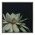 thumbnail image 3 of Kate and Laurel Sylvie Succulent 8 Framed Canvas Wall Art by Emiko and Mark Franzen of F2Images, 30x30 Gray, Dramatic Greenery Art for Wall, 3 of 7