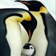 thumbnail image 1 of HOMFUN-pintura de diamante redondo/cuadrado completa, cuadro artesanal 5D, punto de cruz bordado 3D de "pingüino de hielo", regalo para decoración del hogar, 1 of 4