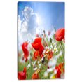 thumbnail image 2 of Coquelicots Rouges sur Fond Ciel - Impression sur Toile Florale, 2 of 3