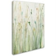 thumbnail image 2 of Trademark Fine Art "Spring Grasses II Crop" Canvas Art by Avery Tillmon, 2 of 3