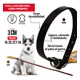 thumbnail image 3 of Silverado Collar Para Perro Ajustable De Piel Liso 3cm, 3 of 8