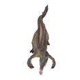 thumbnail image 3 of Figuras de Dinosaurios ANGGREK Spinosaurus No Tóxicas, 3 of 8