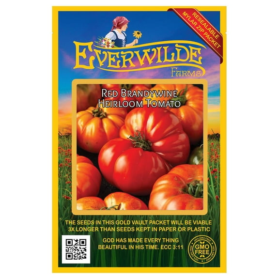 Everwilde Farms - 50 Red Brandywine Heirloom Tomato Seeds - Gold Vault Seed Packet