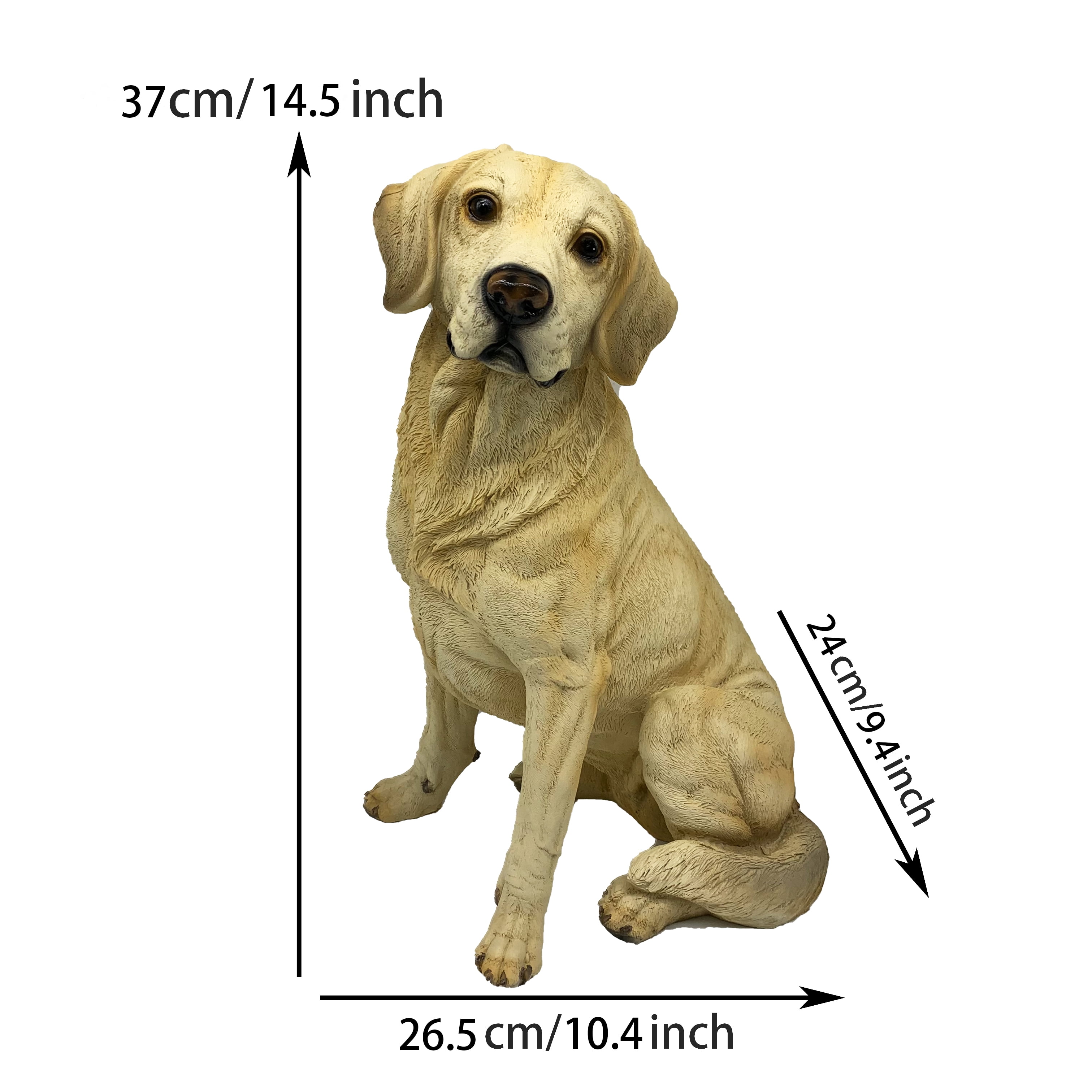 A realistic Labrador Retriever dog resin statue, a vivid and adorable garden Labrador sculpture ornament, suitable for courtyards, lawns, gardens, and other settings. A perfect gift for family, gift