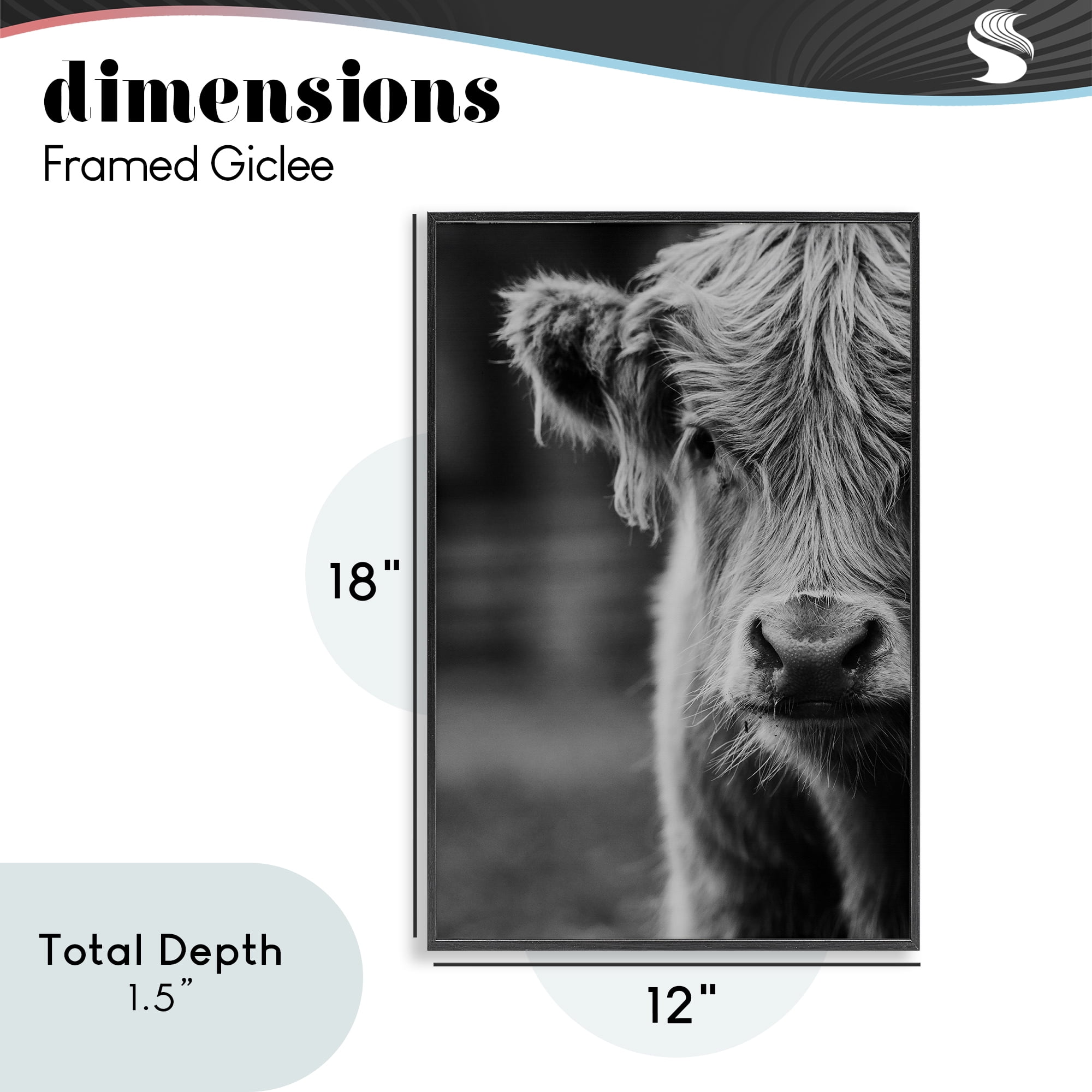 Baby Cow Face Black Framed Giclee Art, design by Amy Carroll