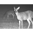 thumbnail image 4 of Bushnell Equinox Z 3 x 30mm Lens Night Vision Monocular (Certified Refurbished), 4 of 7