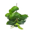 thumbnail image 2 of 6 Piezas de Hoja de Violín Artificial Higuera de 19,6 Pulgadas Plantas de Imitación Ficus Arbusto Verde para la Decoración del Patio de la Boda Al Aire Libre, 2 of 10
