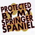 thumbnail image 2 of CafePress - Protected By My Springer Spaniel Body Suit - Long Sleeve Cotton Baby Bodysuit, 2 of 4