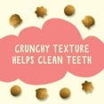 thumbnail image 2 of Friskies Party Mix Seaside Crunch, Natural Cat Treats 454g, 2 of 9