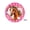 B, variant on A Horse Themed Dinner Plates Pink Checkered Design For Party Decoration 7 Inch Size Paper Plates For Snacks Desserts And Cake