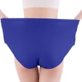 thumbnail image 4 of Women's Panties JIANLAI Tummy Control Underwear Seamless High Waisted Panties No Show Stretch Full Coverage Tagless Briefs Blue, 4 of 6