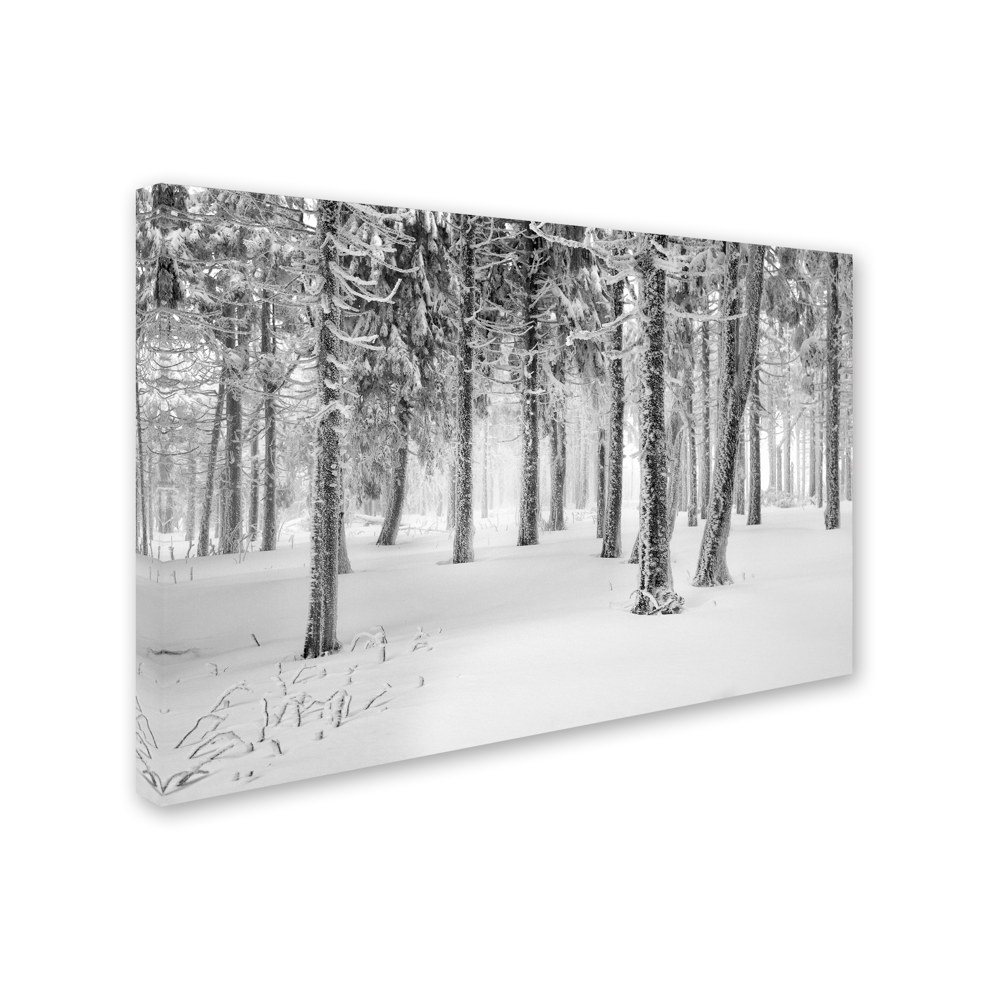 Trademark Fine Art "Frozen World" Canvas Art by Philippe Sainte-Laudy