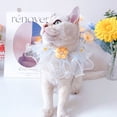 thumbnail image 4 of CHUANK Excellent Pet Necklace Lace Edge   for Daily Wear   Decorating, 4 of 7