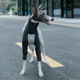 thumbnail image 5 of HQREA Italian Greyhound  Four-Legged Clothes, Dog Cooling T-Shirt, Summer Pet Coat for Outdoor, 5 of 6