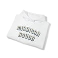 thumbnail image 4 of Moving to Michigan Hoodie, Gifts, Hooded Sweatshirt, 4 of 4