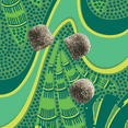 thumbnail image 4 of Kuli Kuli Green Apple Super Greens and Moringa Superfood Gummies for Energy, 60 Count, 4 of 6